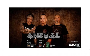 ANIMAL (Argentina)